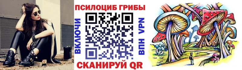 Псилоцибиновые грибы Psilocybe  Купить закладки  Мытищи 